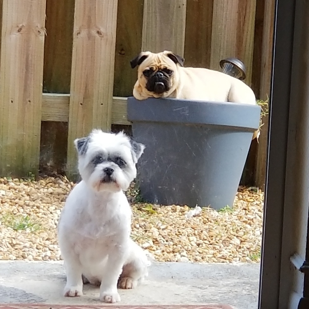 Meet your Posher, Tracy